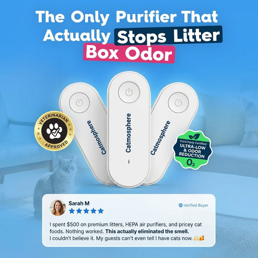RoomSafe Odor Guard: Litter Box Odor Eliminator for Cats