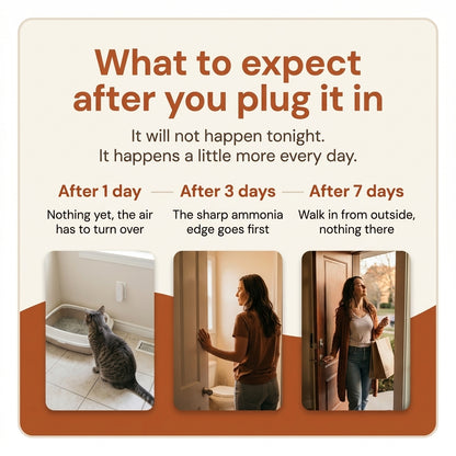 RoomSafe Odor Guard: Litter Box Odor Eliminator for Cats